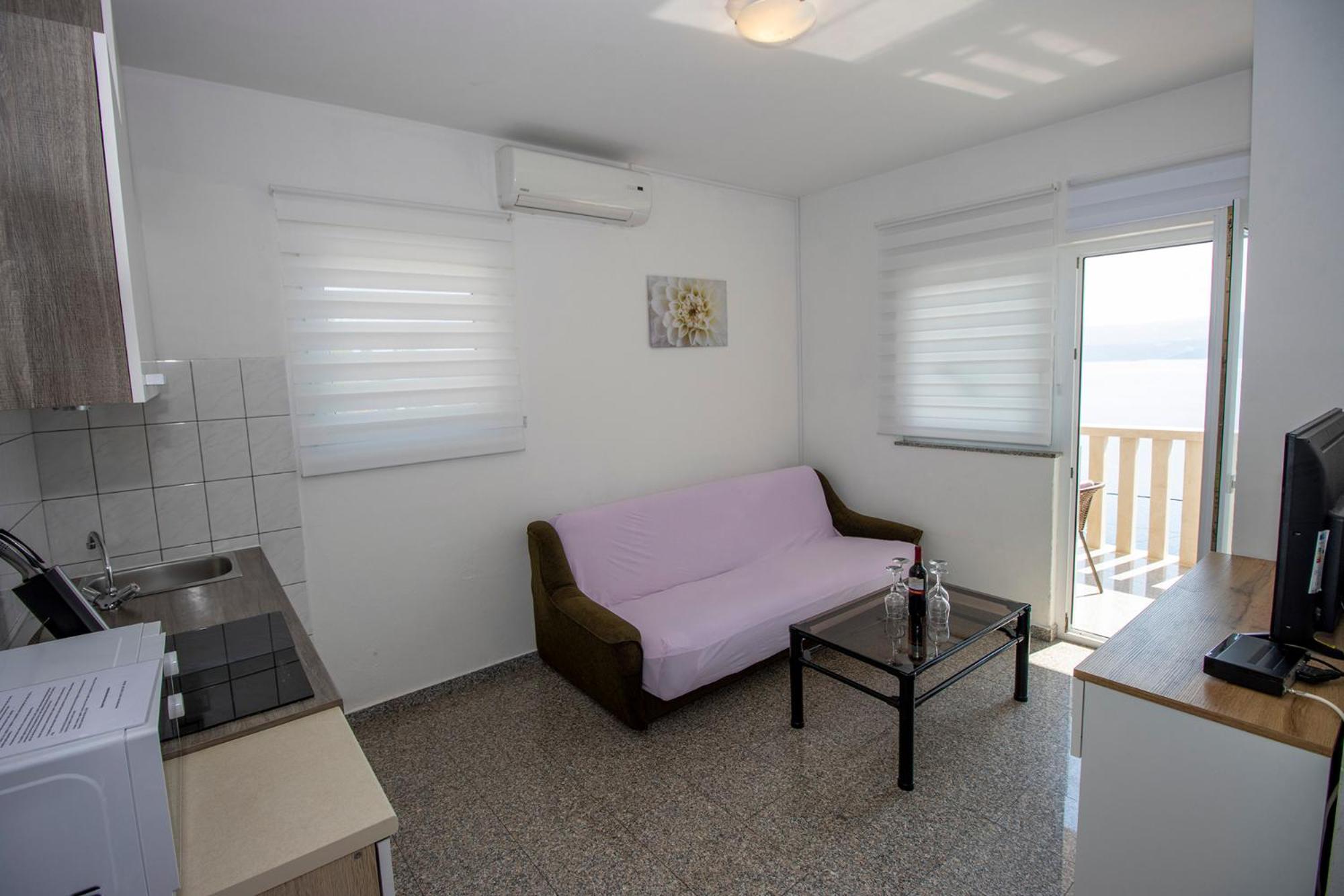 Apartment Vesna Celina